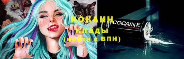 сатива Лабытнанги
