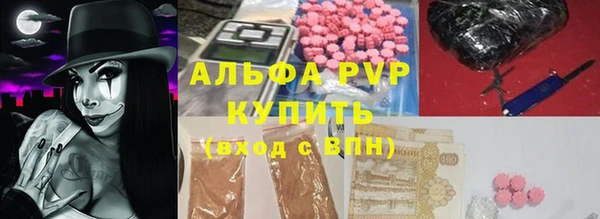 сатива Лабытнанги