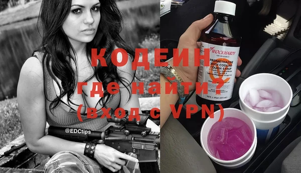 сатива Лабытнанги