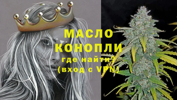 сатива Лабытнанги