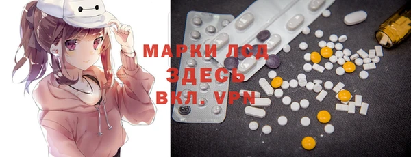 сатива Лабытнанги